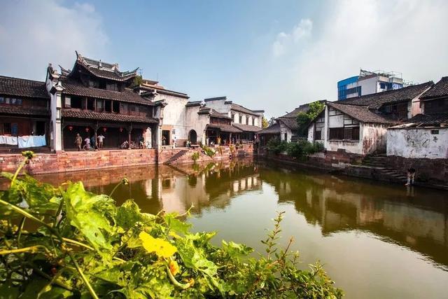 贪吃鼠吃豆豆